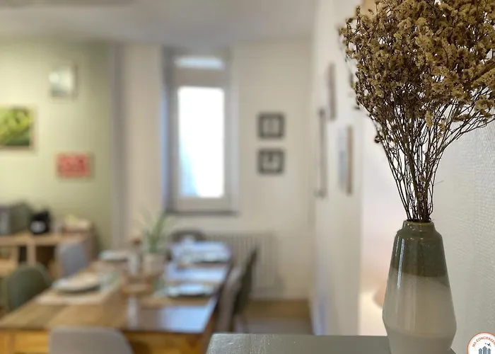 Le St-laurent - Magnifique Triplex - Calme * 凯恩