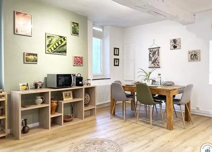 公寓 Le St-laurent - Magnifique Triplex - Calme 凯恩